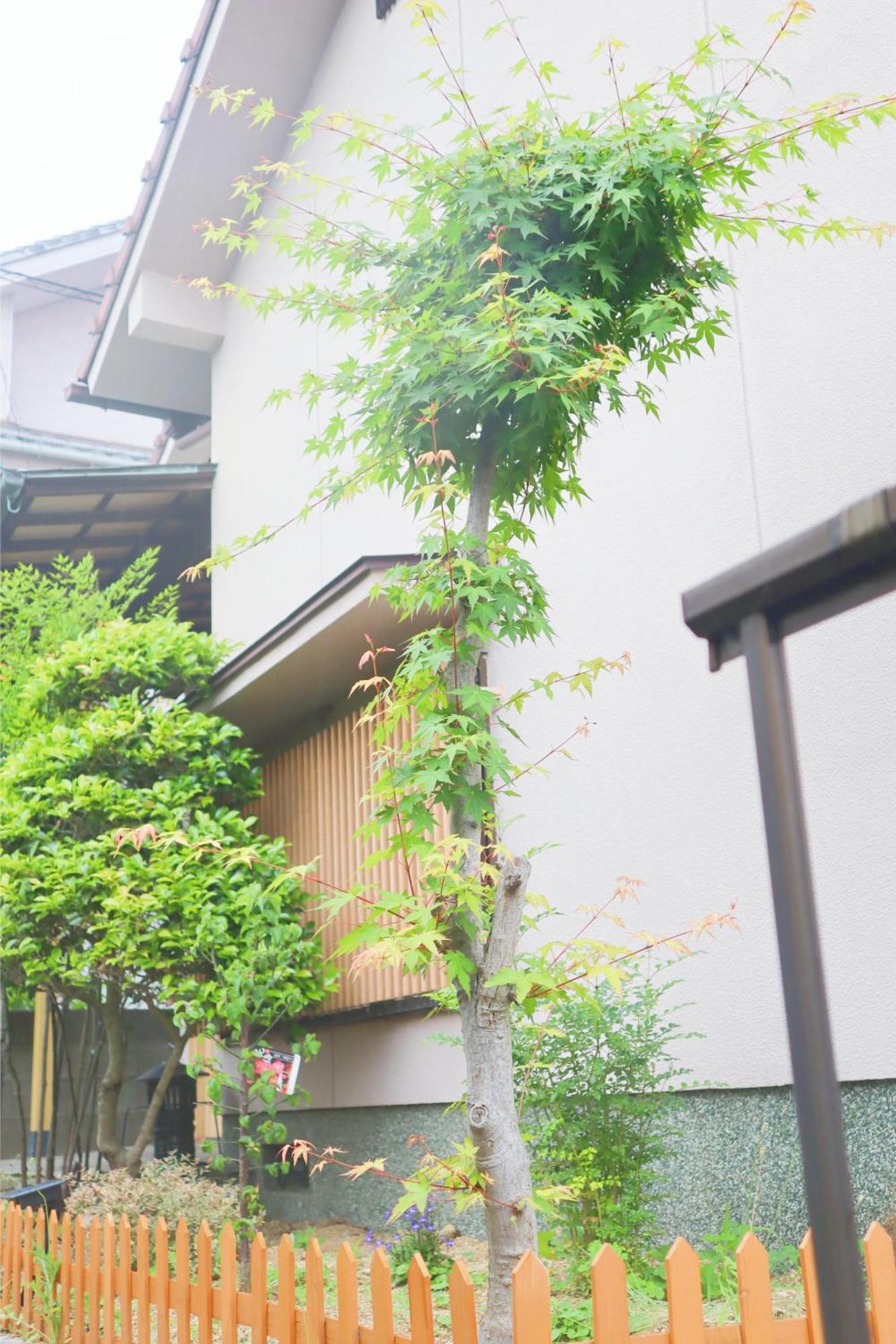 Villa 立花荘 Matsuyama  Exterior foto